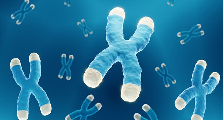 Unlocking Cellular Longevity: How to Keep Your Cells Young and Healthy